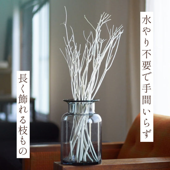 伸びゆく姿が美しい。個性豊かな春の枝ものをご紹介 – 土と風の植物園