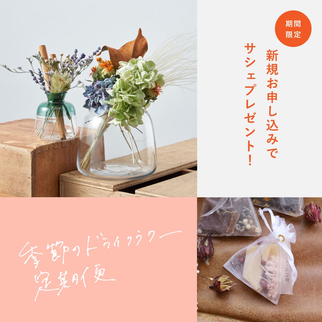 今だけ】ドライフラワー定期便を始めた方に、香る“チョコレートサシェ