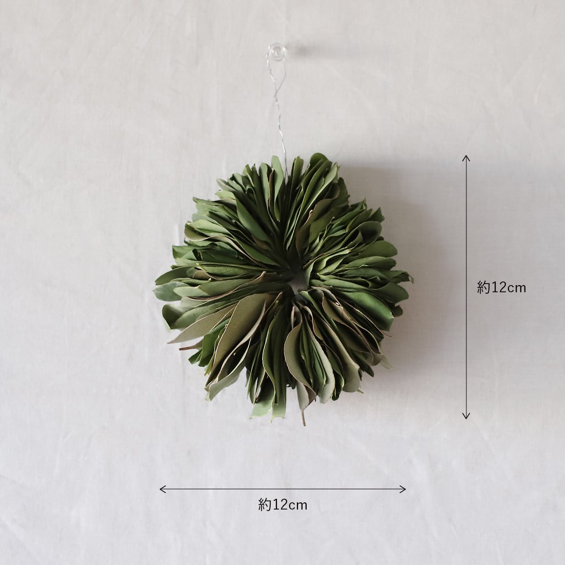 <ミルフィーユ>ユーカリ ポポラスのリース