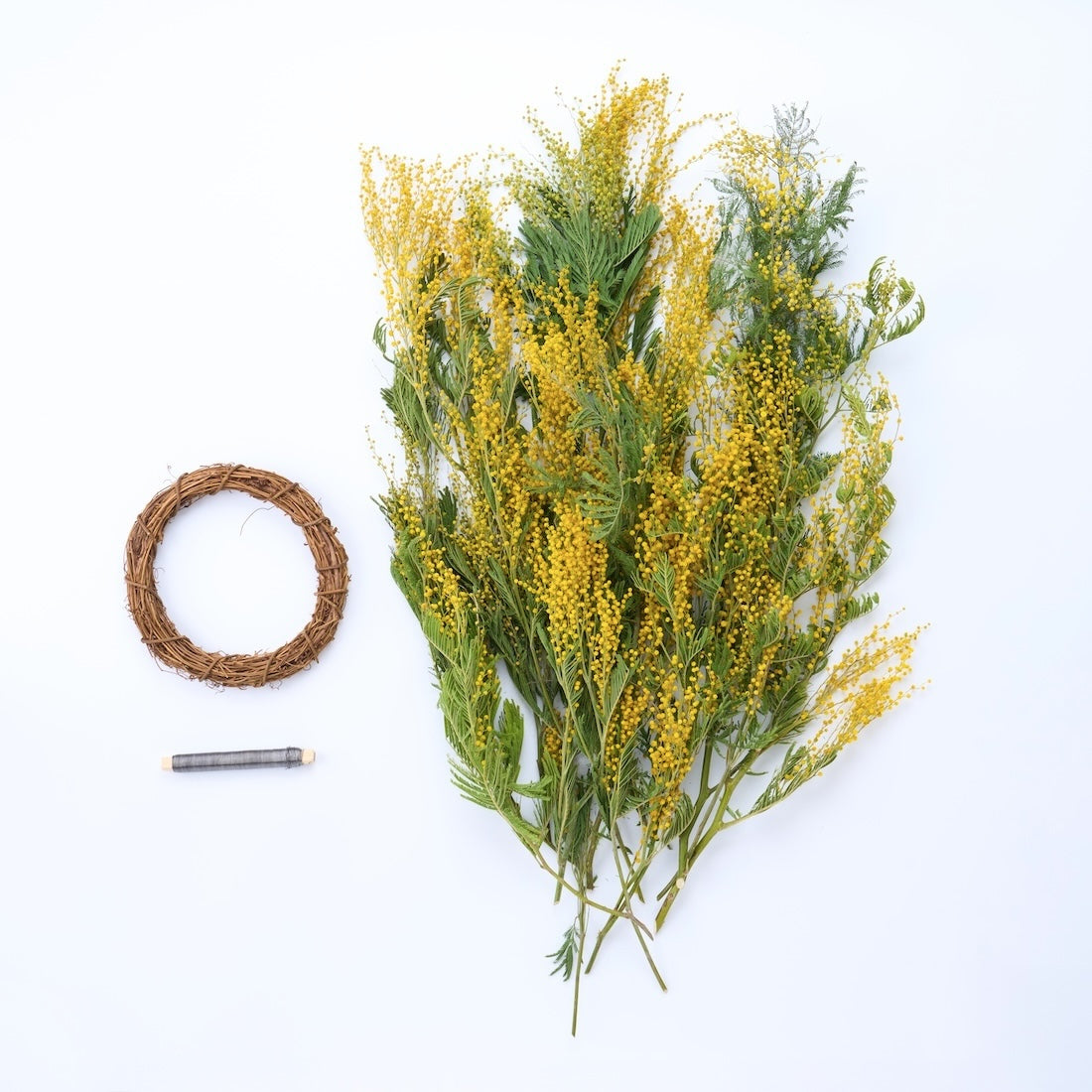 <陽だまり>ミモザのリース