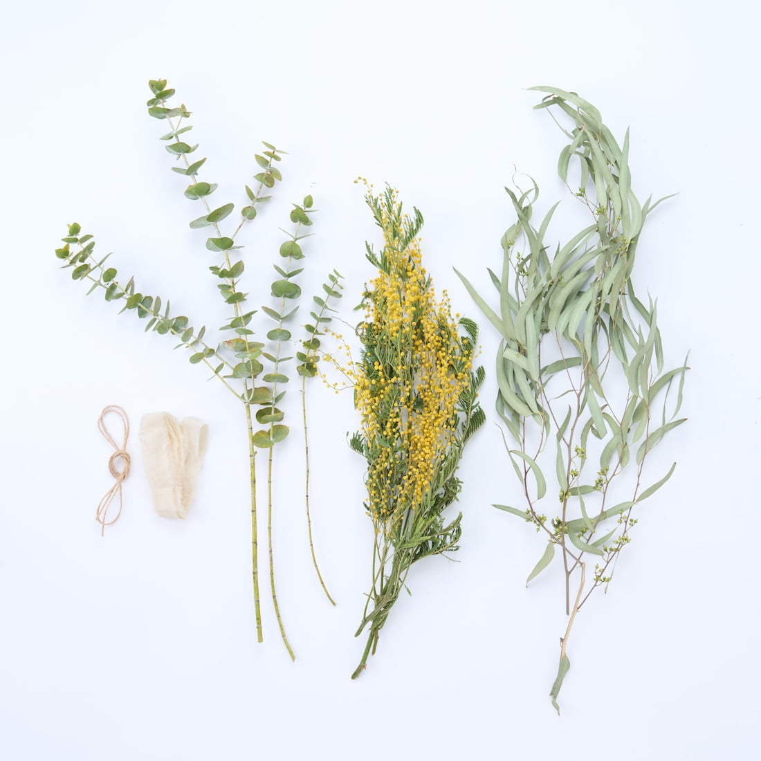 <春告鳥>ミモザとユーカリのスワッグ