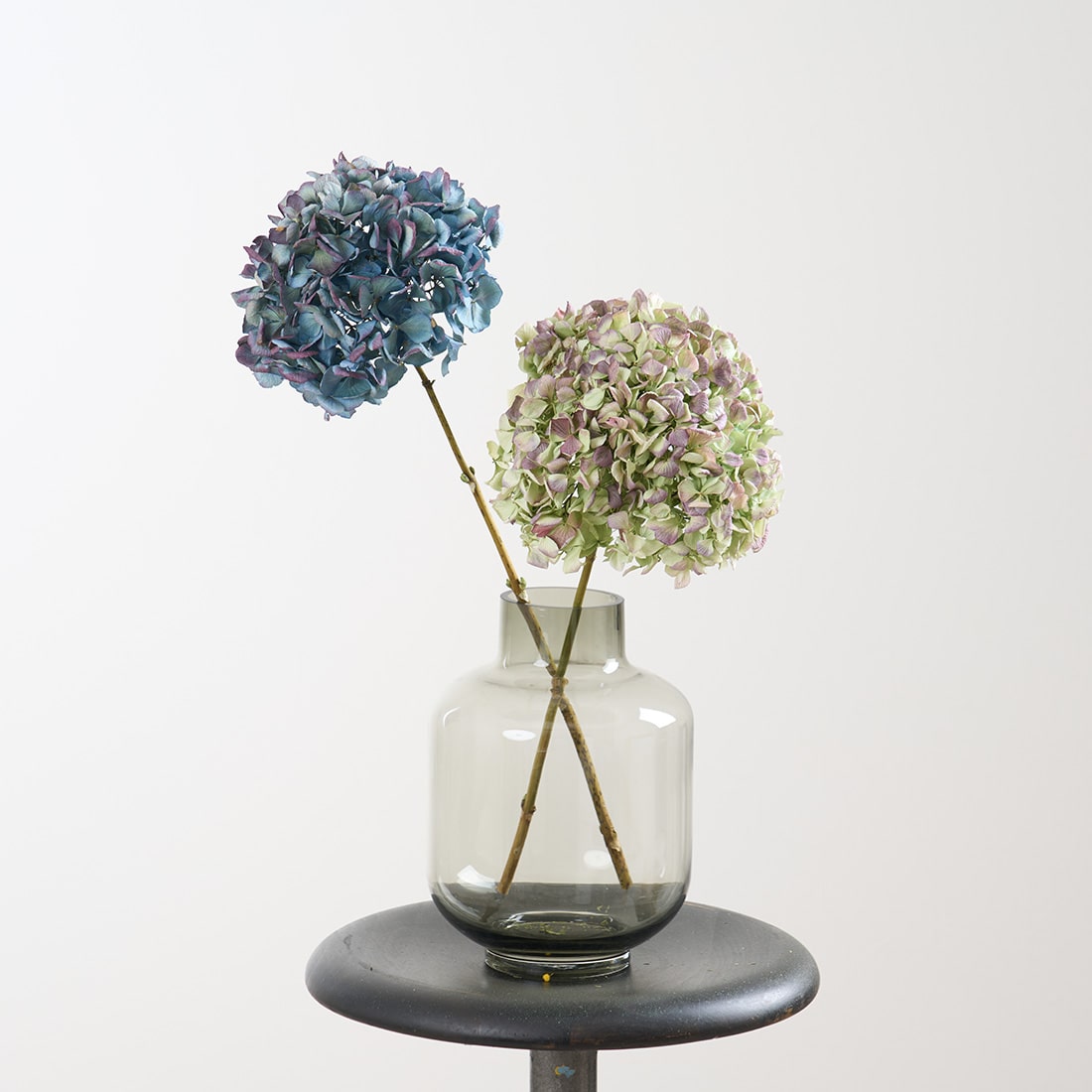 ニュアンスカラーの紫陽花セット