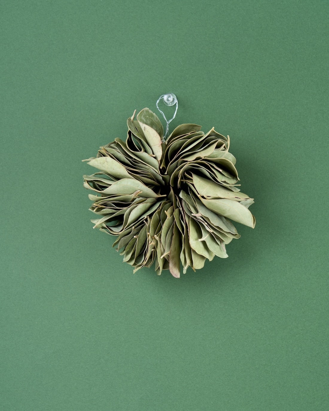 ミルフィーユ＞ユーカリ ポポラスのリース 商品ページ - 土と風