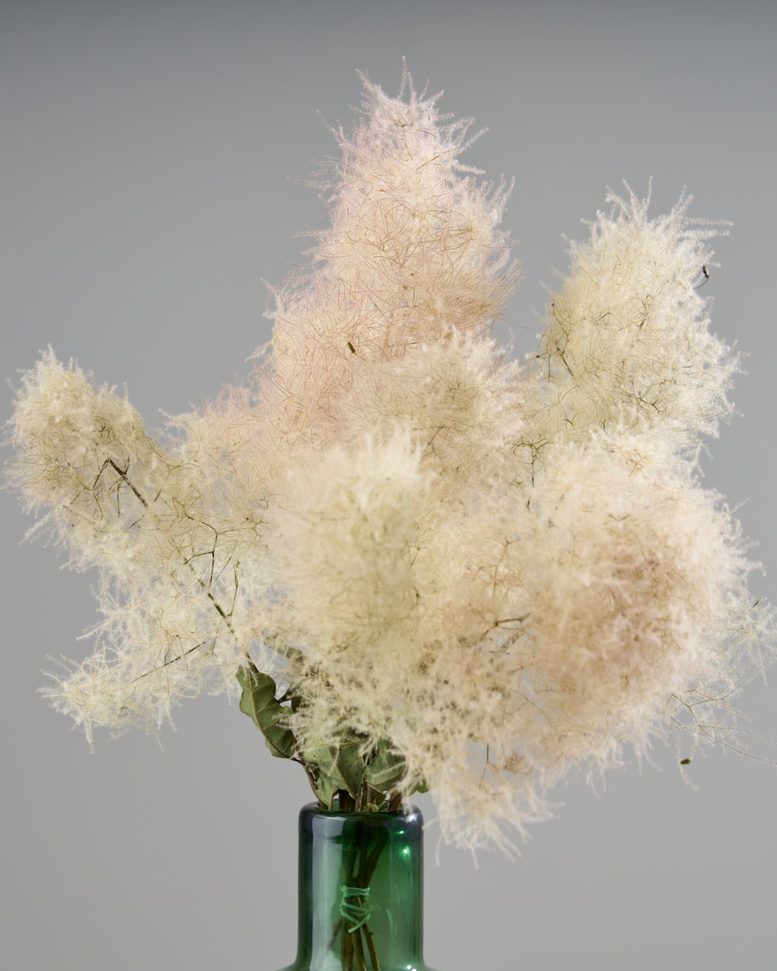 ドライフラワーナチュラルスワッグsmoke tree