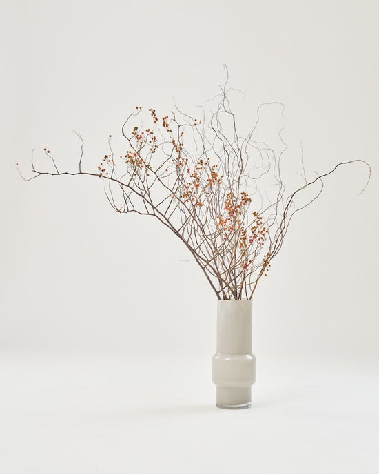 【今季残りわずか】【BIGサイズ】飾るだけでサマになるドライフラワーセット(野ばらの実・雲竜柳)