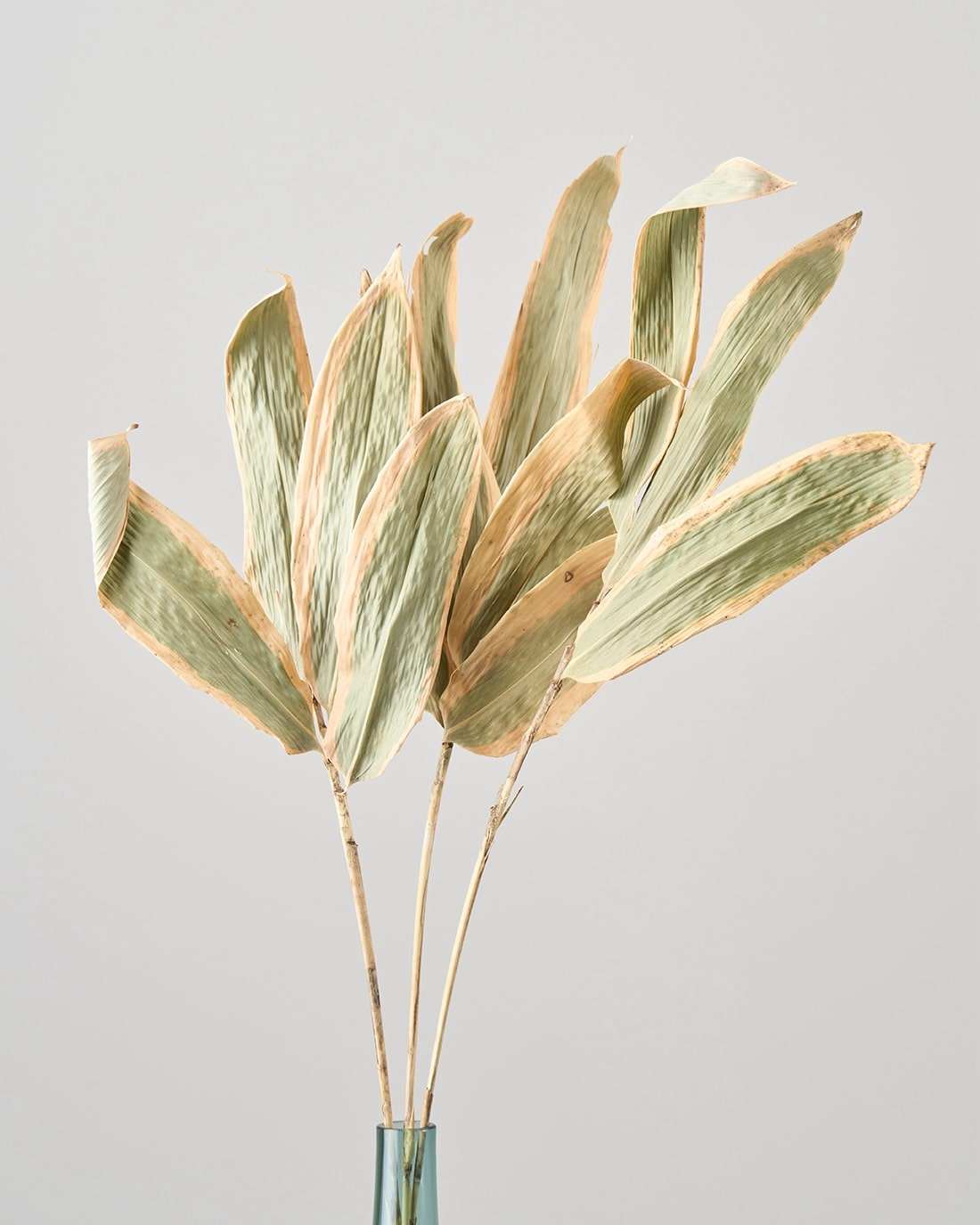 熊笹　エディブルフラワー　飾り葉 熊笹 クマザサ エディブルフラワー 飾り葉