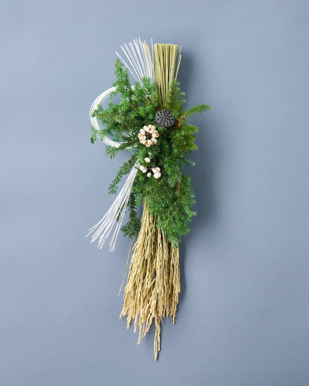 実りを結ぶ、千歳緑のお正月飾り 商品ページ - 土と風の植物園