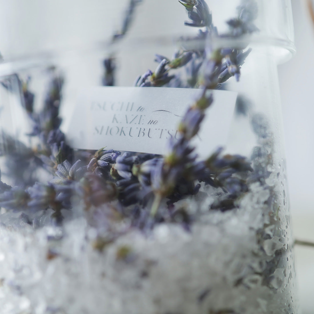 香り高いラベンダーグロッソのモイストポプリ