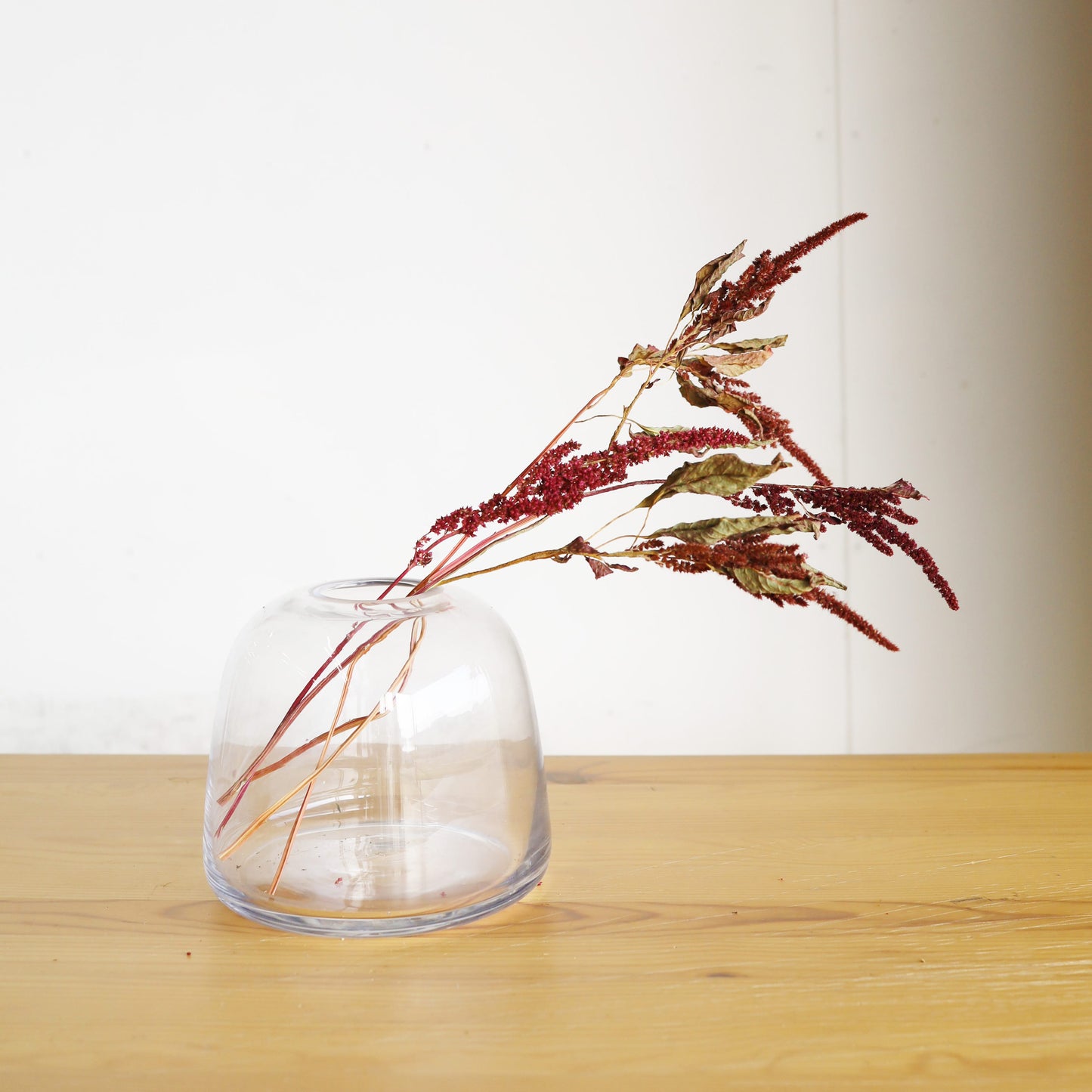 【ふぞろいも愛おしいお得なドライフラワー】アマランサス ボルドー