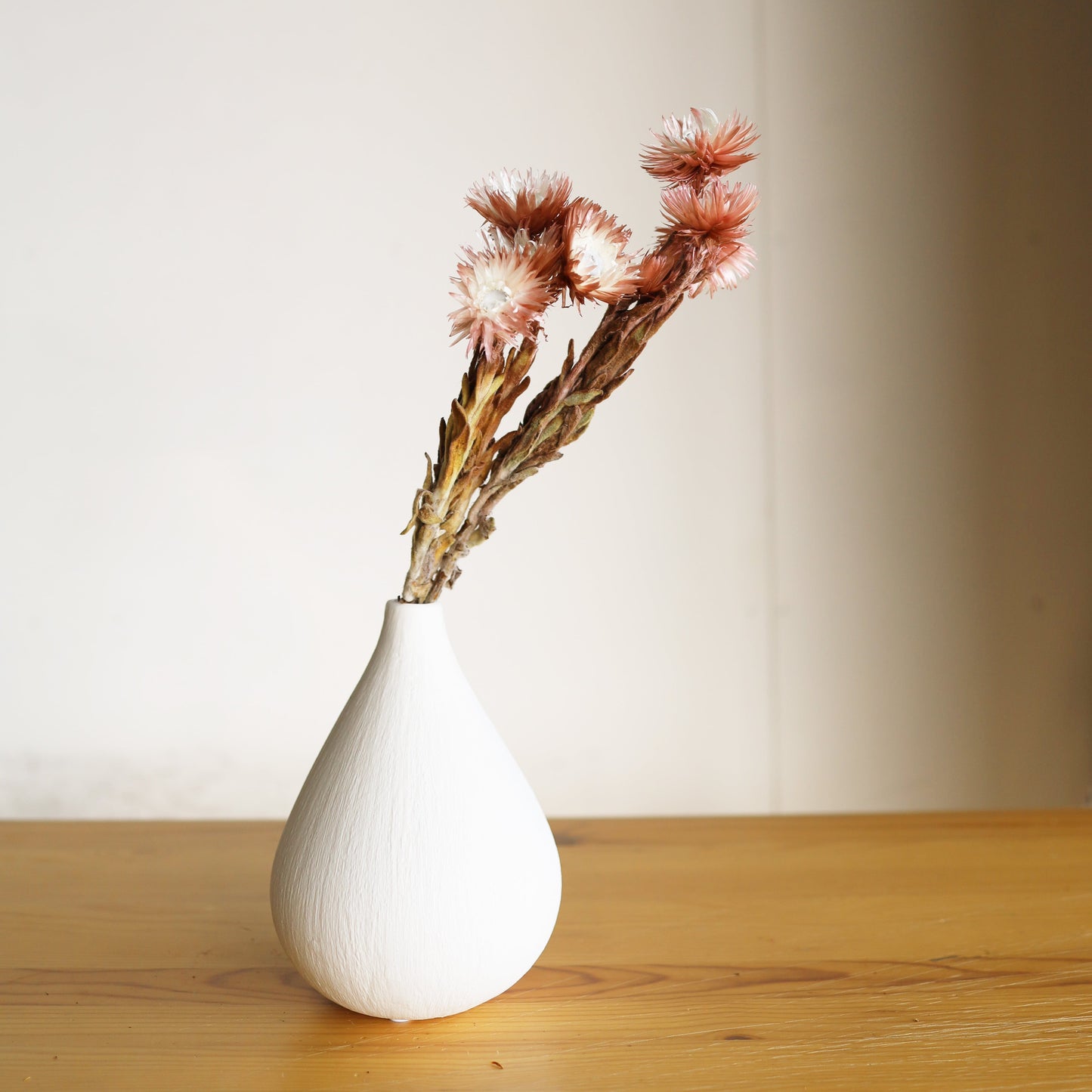 【ふぞろいも愛おしいお得なドライフラワー】シルバーデージー