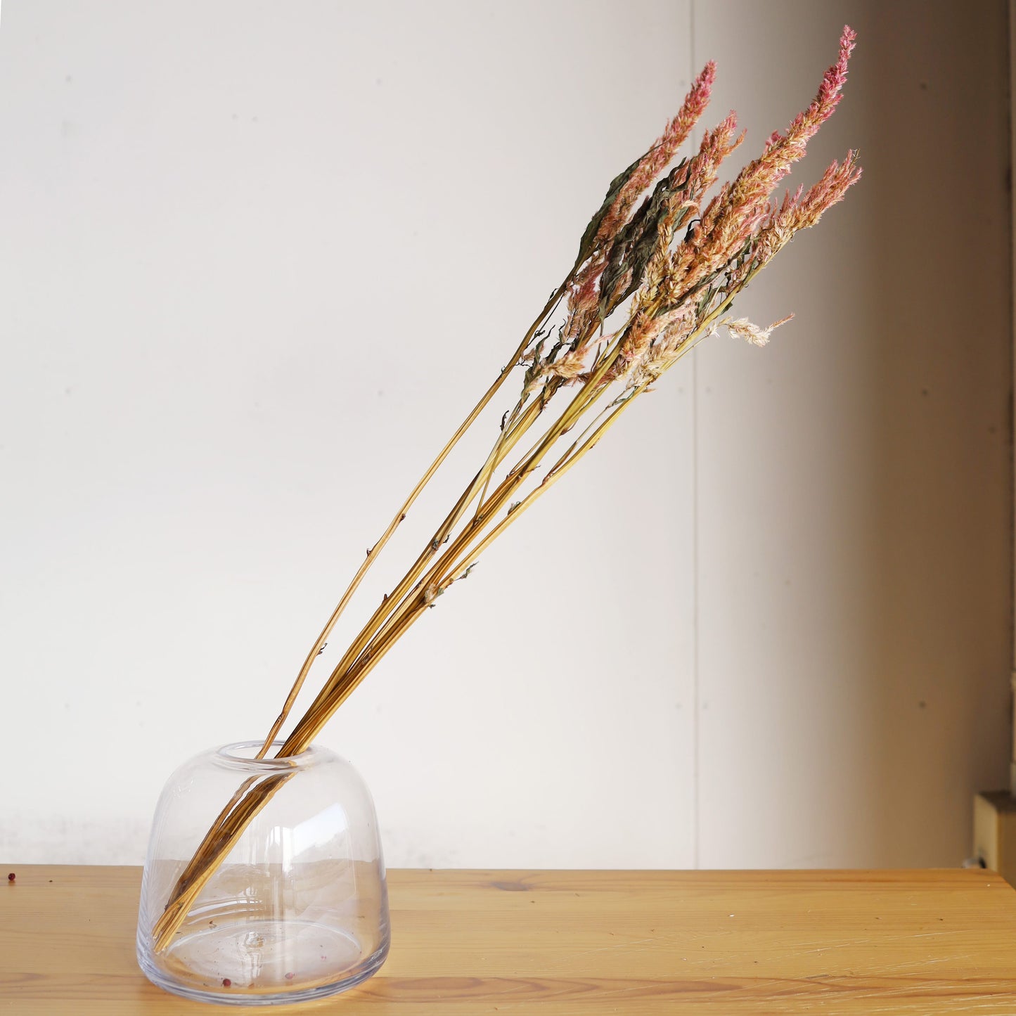 【ふぞろいも愛おしいお得なドライフラワー】ケイトウ センチュリーピンク