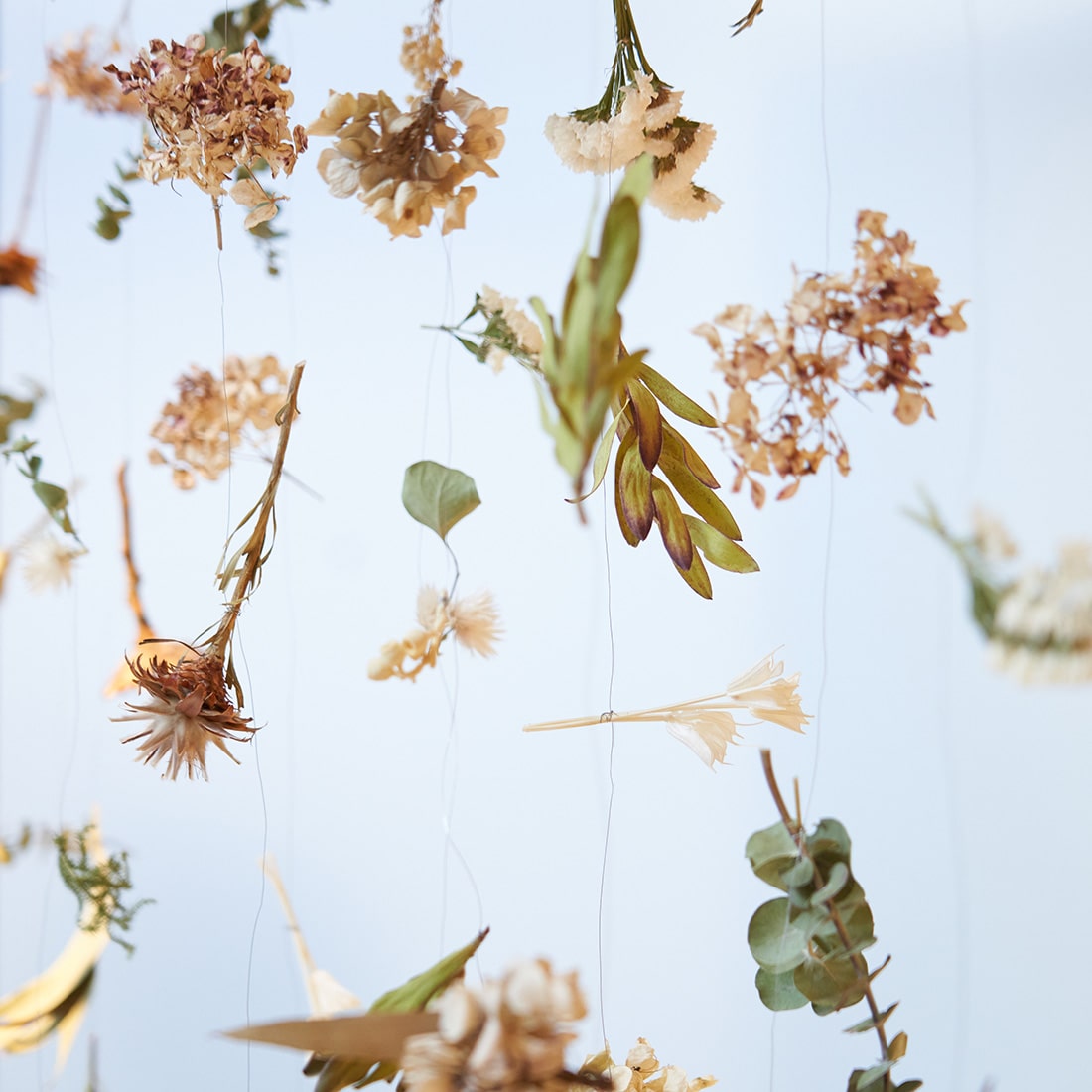 ゆらゆら揺れる、お花のカーテン