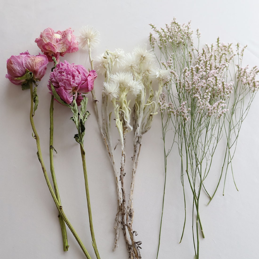 芍薬とおすすめドライフラワーのセット