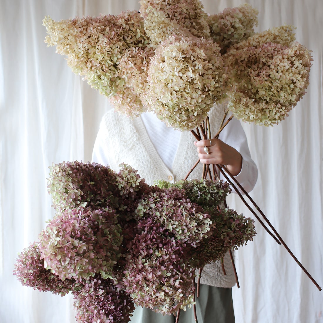 紫陽花ドライフラワー 大量！ 22 秋色紫陽花-