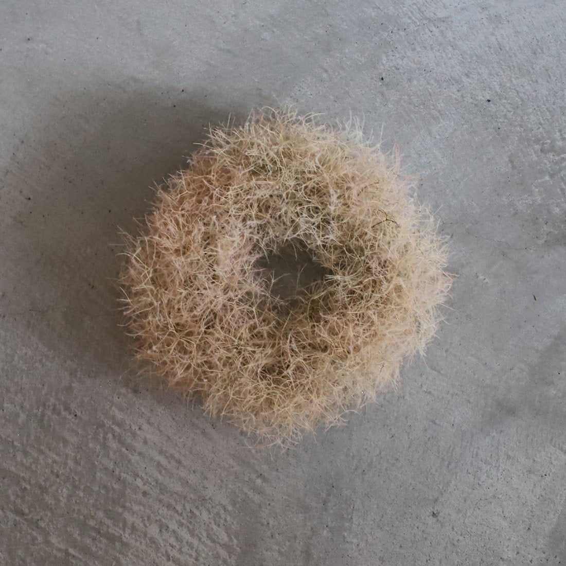 ひかりのおと＞スモークツリーのリース 商品ページ - 土と風の植物園