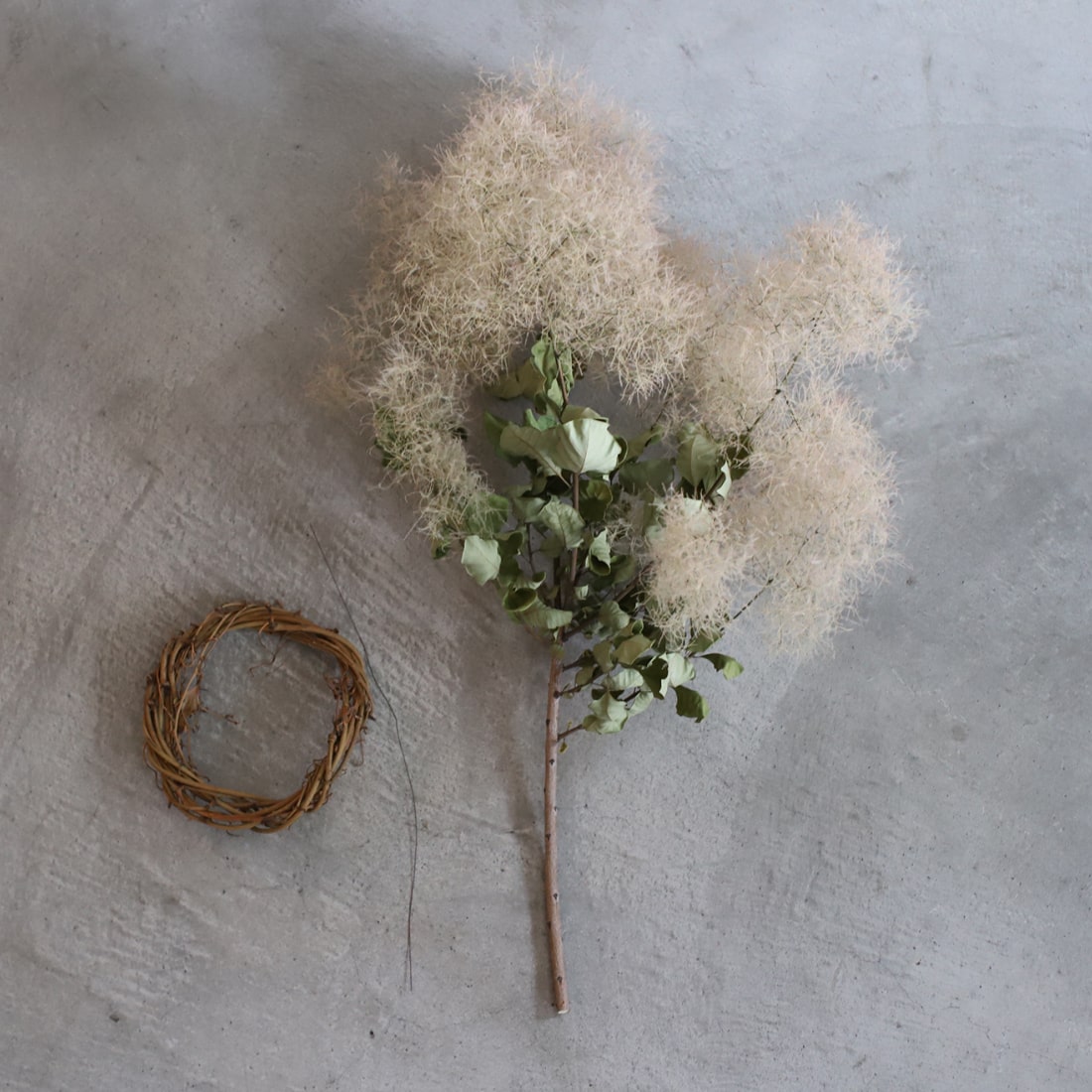 <ひかりのおと>スモークツリーのリース