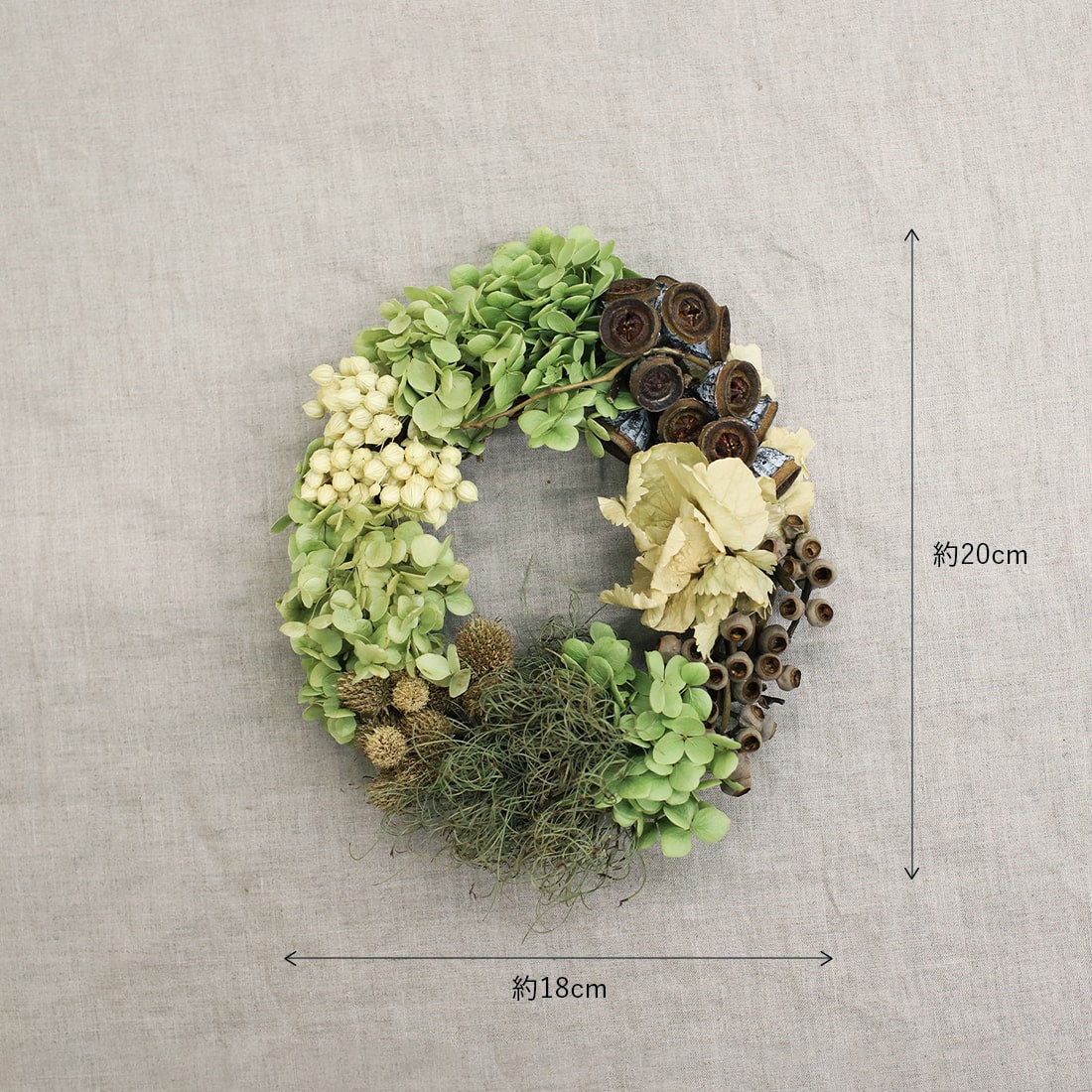 <グリーン・ハーベスト>紫陽花アナベル・ユーカリの実・ゴアナクローのリース