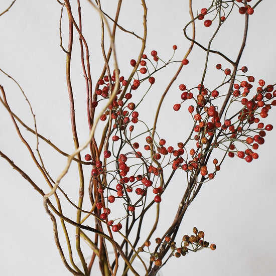 【今季残りわずか】飾るだけでサマになるドライフラワーセット(野ばらの実)