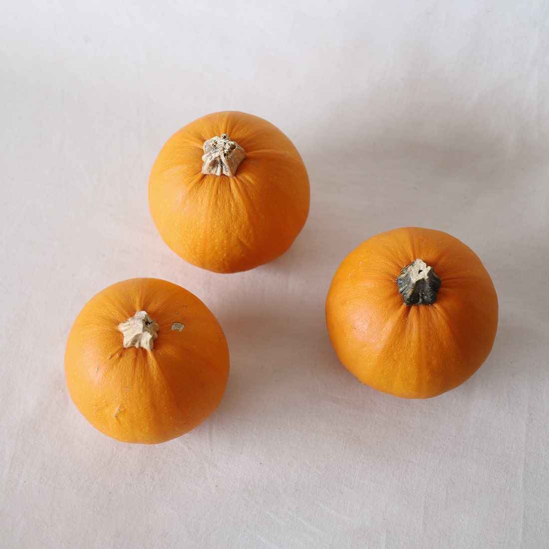 オモチャカボチャ