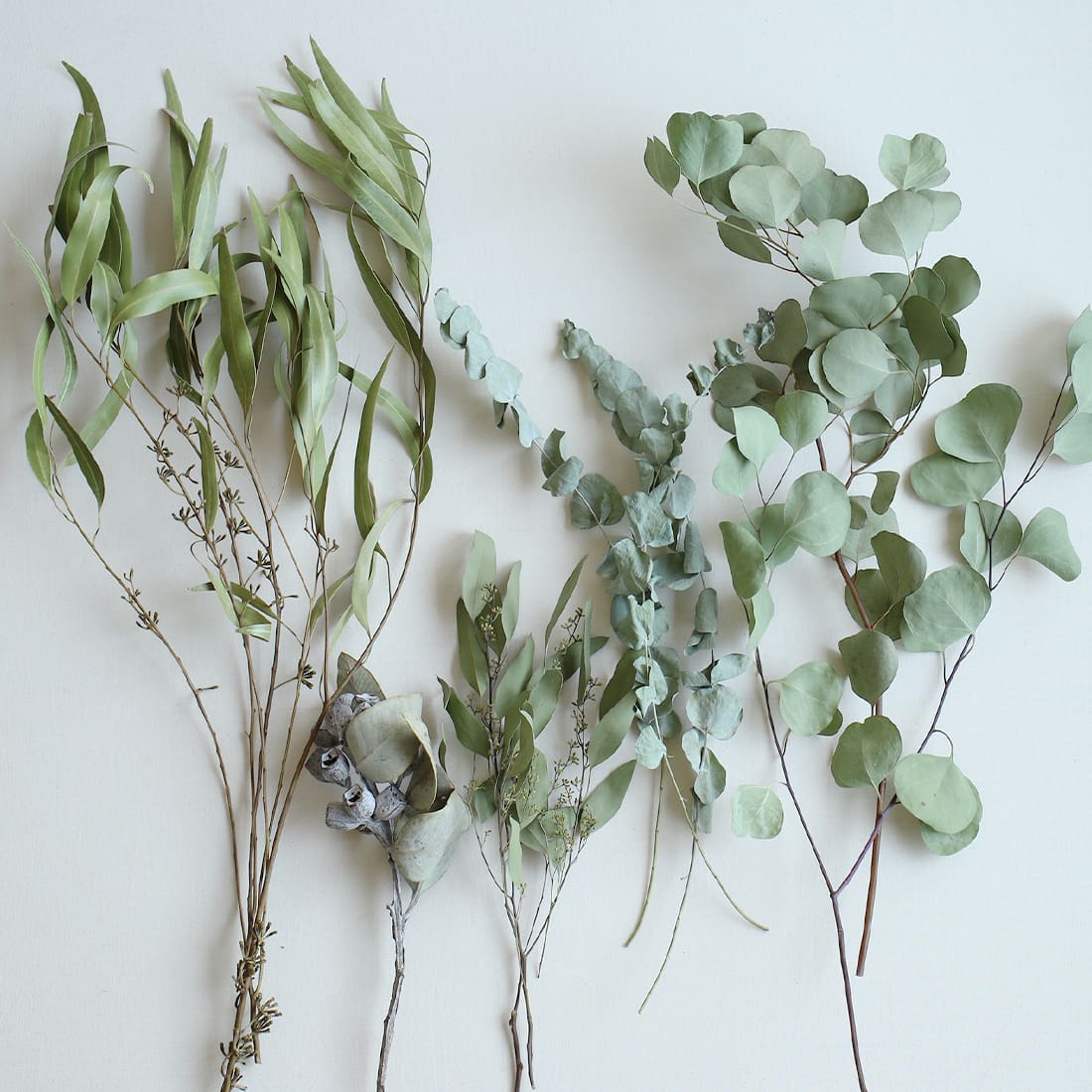 飾るだけでサマになるドライフラワーセット(5種類のユーカリ)<緑の五重奏>