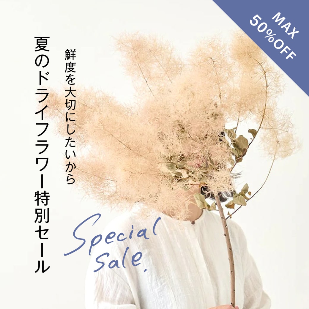 【MAX50%OFF】夏のドライフラワー特別セール開催のお知らせ