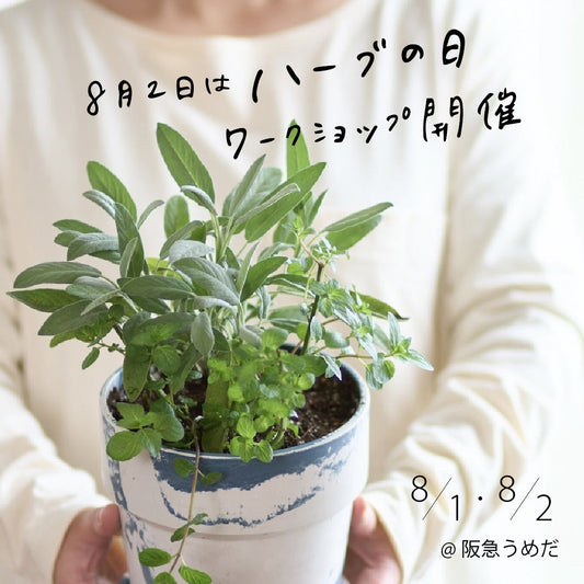 8月2日は“ハーブの日” 阪急うめだ本店にてワークショップを開催します！
