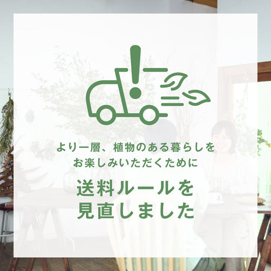 植物のある暮らしを、もっと気軽に。送料ルールを見直しました