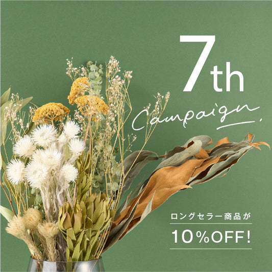 7周年の感謝を込めて。ロングセラー商品を特別価格でお届け