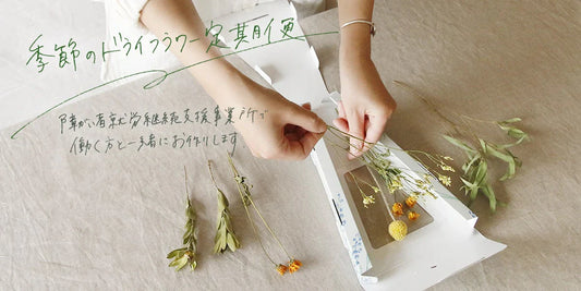 障がい者就労継続支援事業所ピースグループさまと一緒に、季節のドライフラワー定期便をお作りします