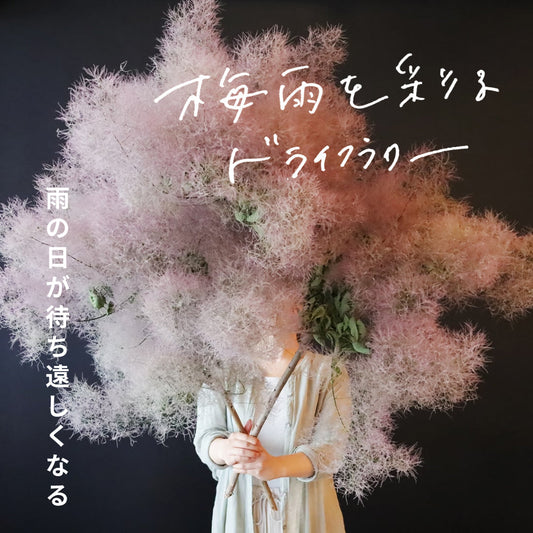 雨の日が待ち遠しくなる。梅雨を彩るドライフラワーといえば？
