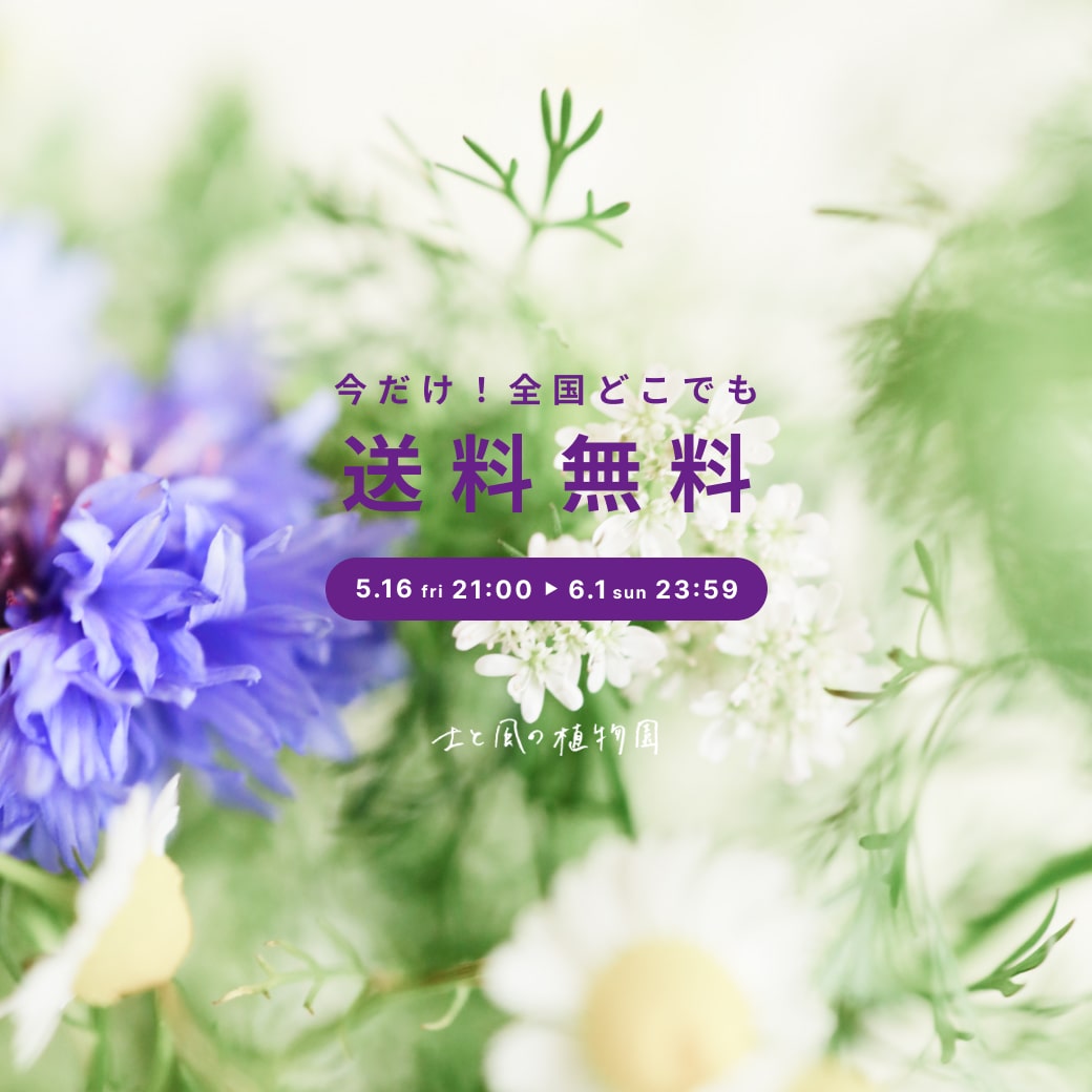 【6/1(日)23:59まで】全品送料無料キャンペーン！購入金額にかかわらず全てのお買い物が対象です