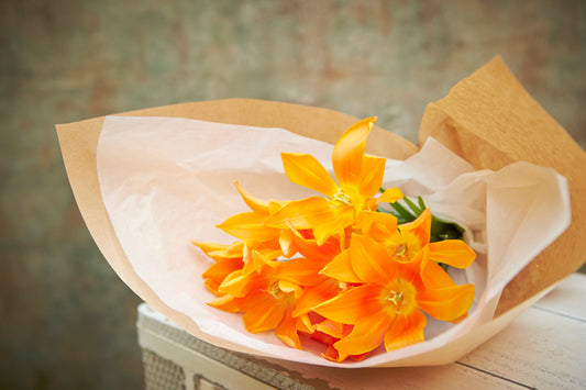 【4月14日】大切な人と楽しめるオレンジデーとは？具体的に何をする日？【おすすめプレゼント】