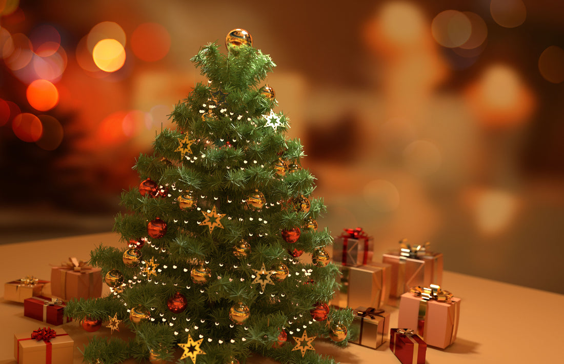 クリスマスツリーといえばもみの木！お手軽サイズのアレンジメント