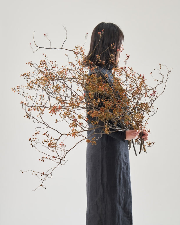 空間を引き立てる、大きな植物｜BIGボタニカル