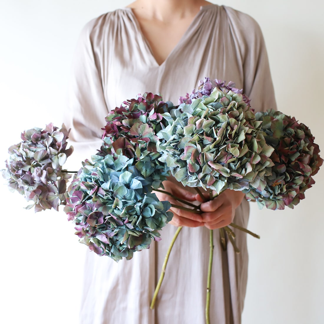 ドライフラワー］淡霞をまとう、ブルーグリーンの紫陽花 商品ページ