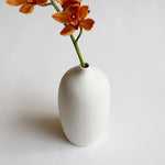 ［フラワーベース］ マットな質感のポーセリンベース プランパー L