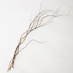 一輪挿しで愛しさ増すドライボタニカル（雲竜柳）