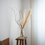 ［ドライフラワー］パンパスグラス