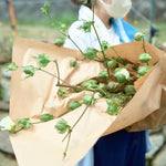［イベントご予約フォーム］小さなテキサスの自由研究・収穫ワークショップ　in 岡山県赤磐市