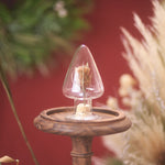 ［雑貨］ツリー型シードボトル