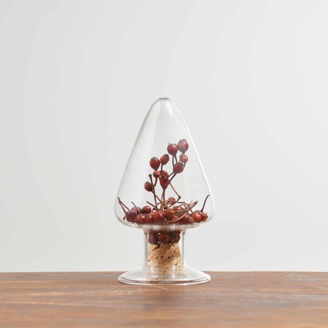 ガラス標本のクリスマスツリー - 土と風の植物園