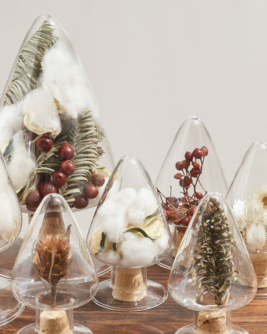 ガラス標本のクリスマスツリー