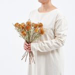 ［ドライフラワー］ドライアンドラ フォルモーサ