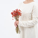 ［ドライフラワー］ばらの実 センセーショナルファンタジー