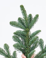 ［フレッシュな状態でお届け］モミ