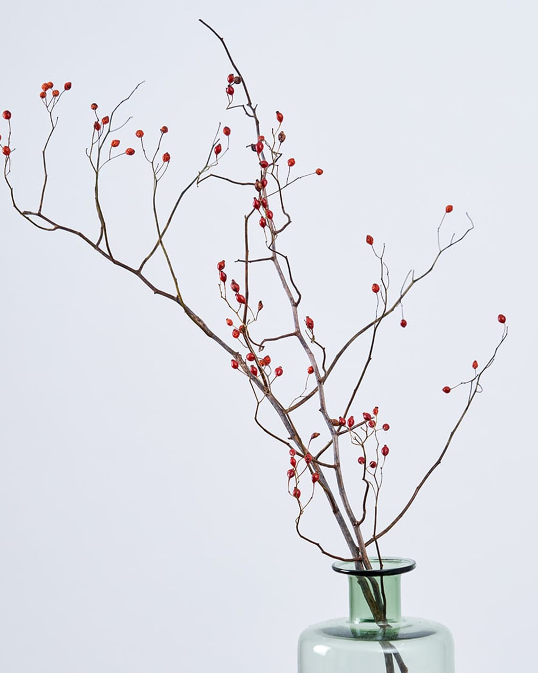 赤い実のドライフラワー枝物 約100cm2本　短かめ3本 赤い実のドライフラワー枝物 約100cm2本短かめ3本