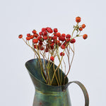 ［ドライフラワー］ばらの実 センセーショナルファンタジー