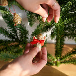 ［フレッシュな状態でお届け］モミ