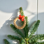 ［フレッシュな状態でお届け］モミ