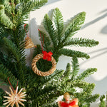 ［フレッシュな状態でお届け］モミ